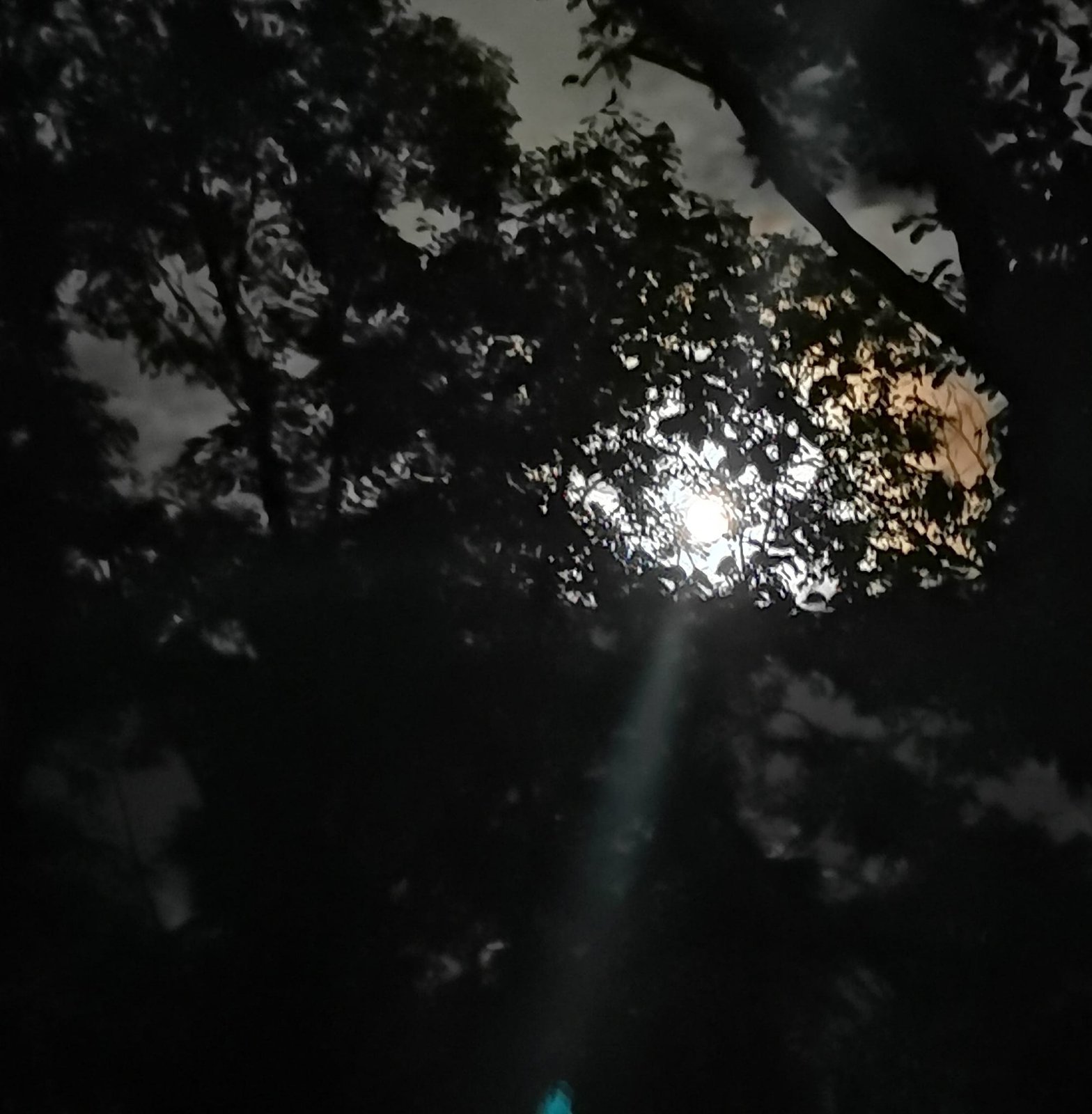 月の光