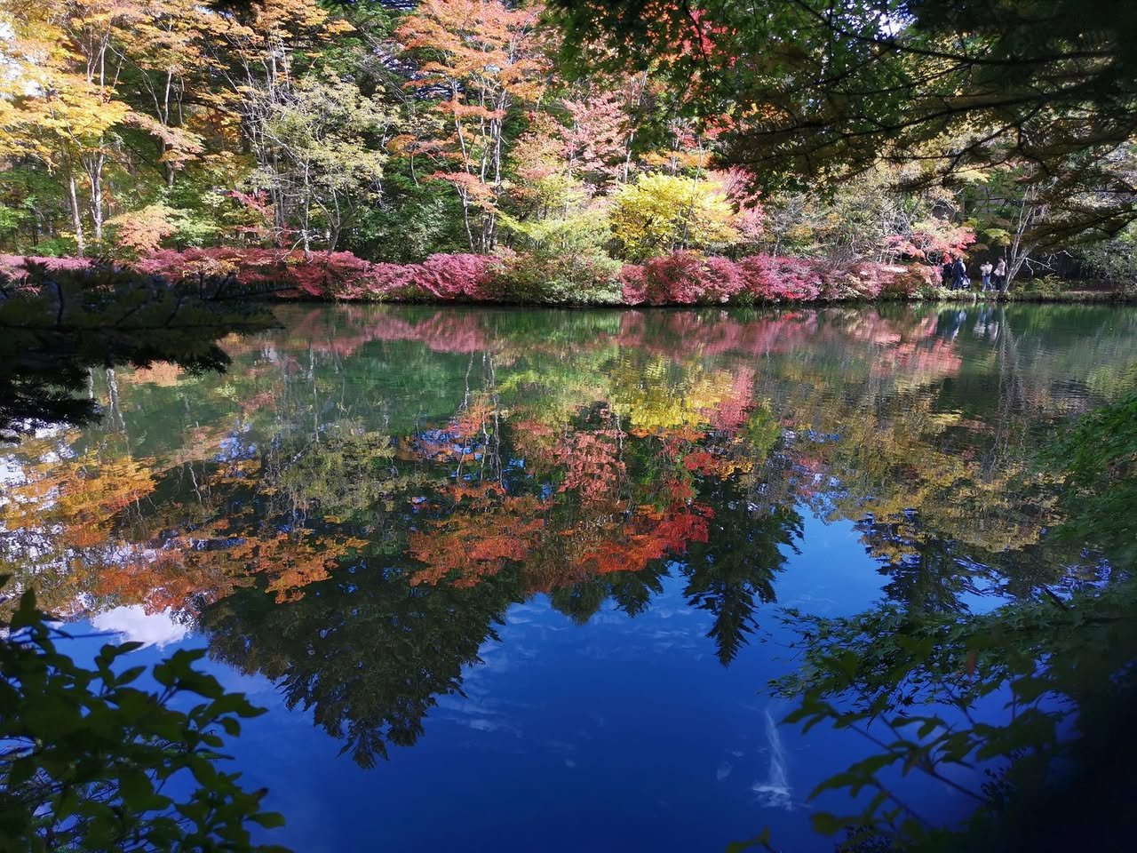 水面に映る紅葉