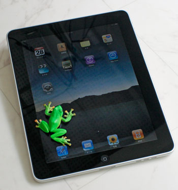 iPad
