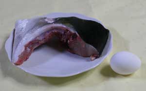 buri_shioyaki.jpg