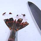 ebifly-2.jpg
