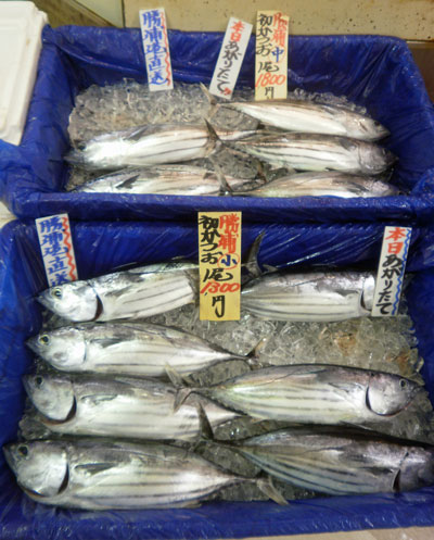初かつお 初かつお
