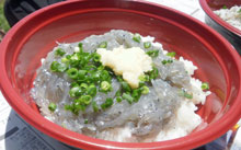 生しらす丼