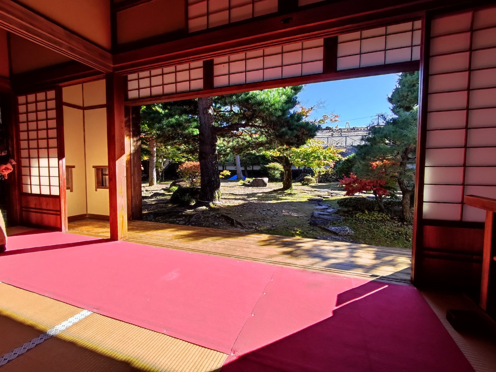 座敷から見た庭