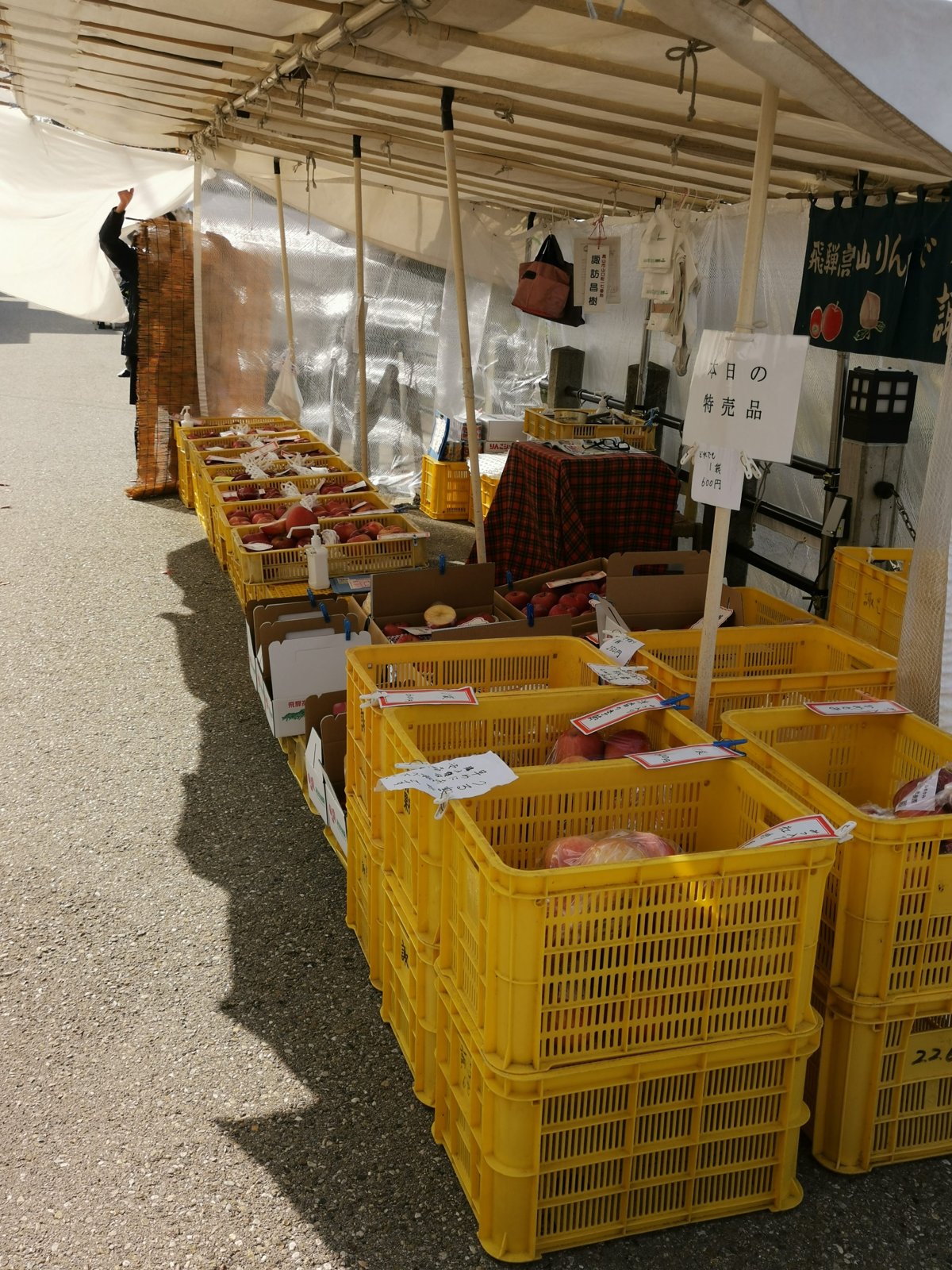朝市の野菜