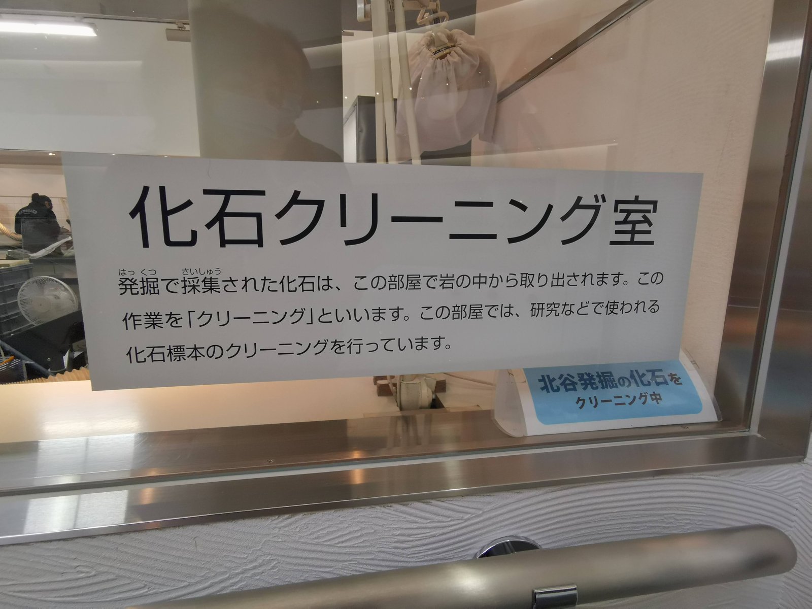 化石クリーニング室