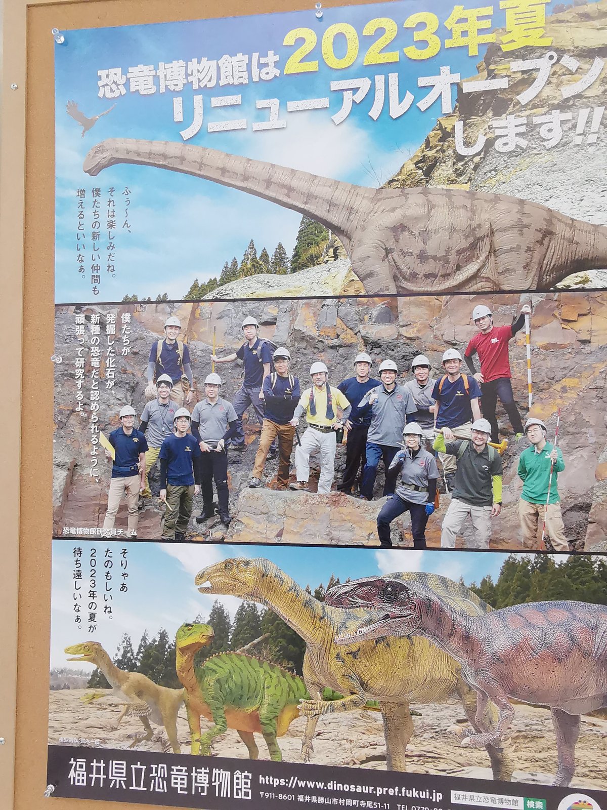 リニューアルのポスター