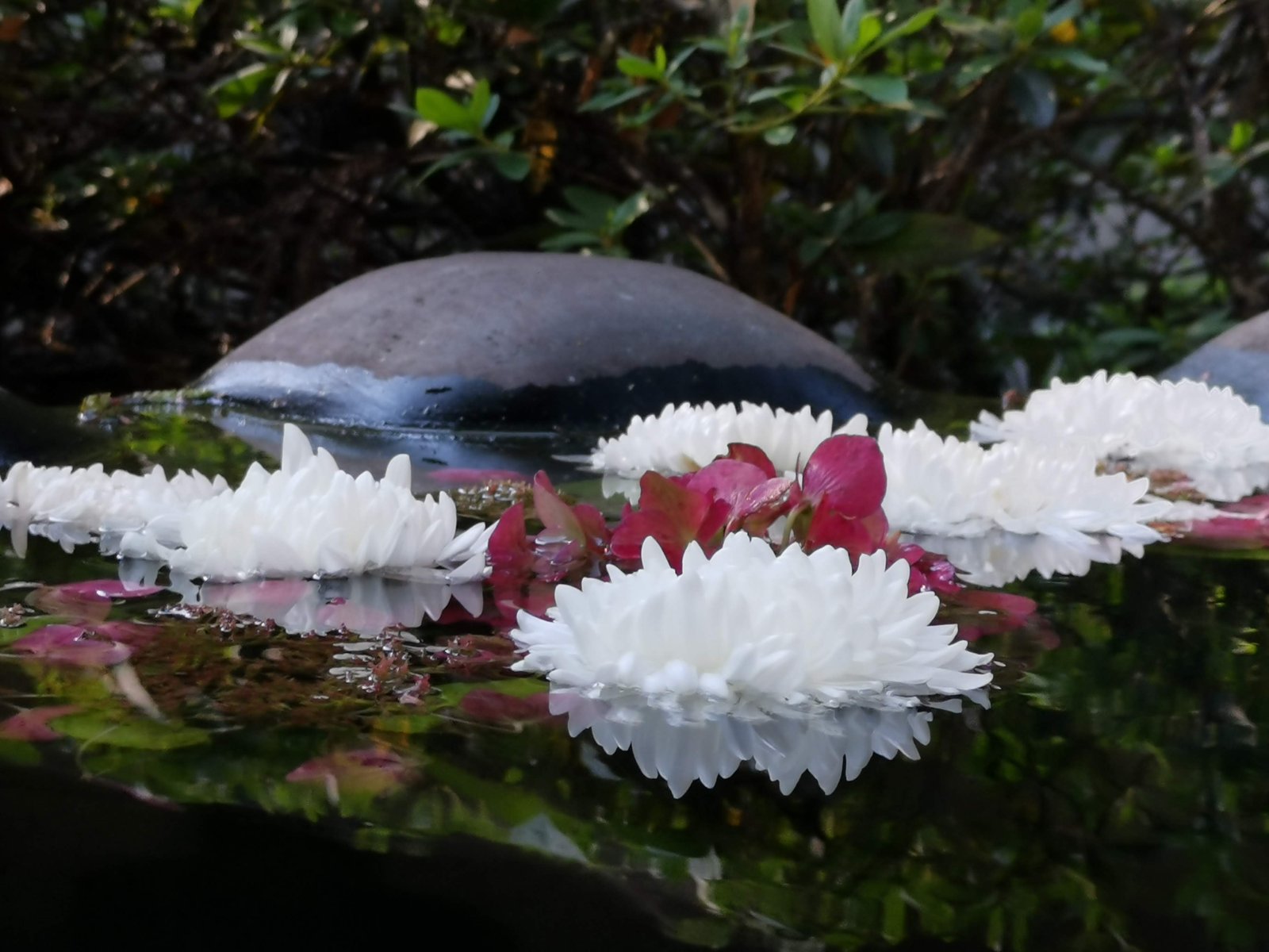 花を浮かべた手水鉢