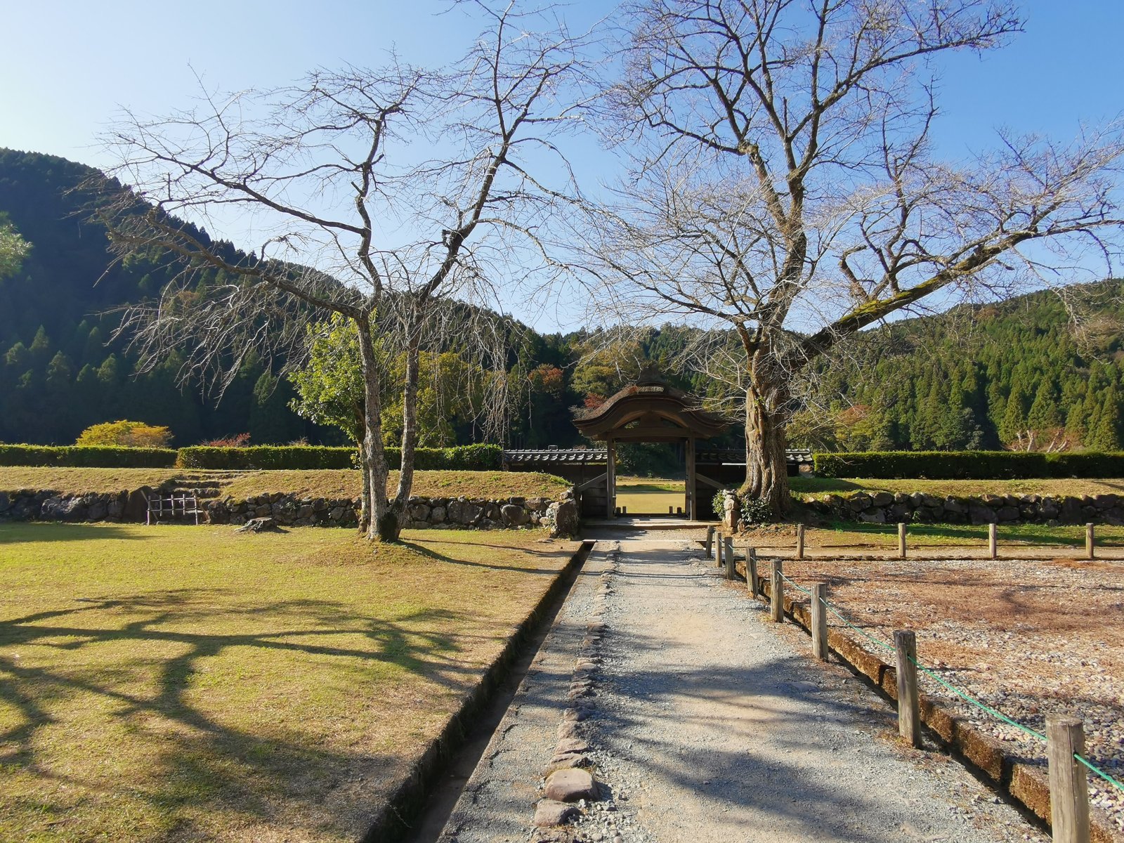 遺跡の道