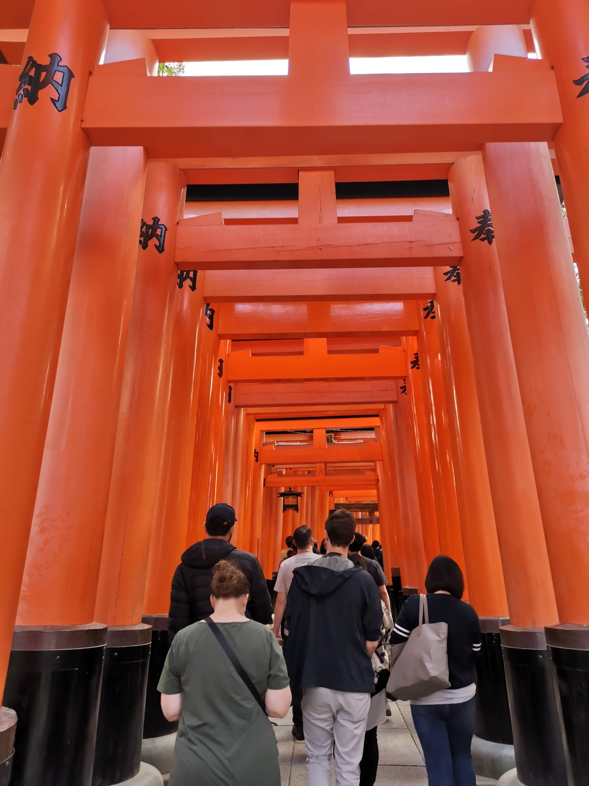 千本鳥居