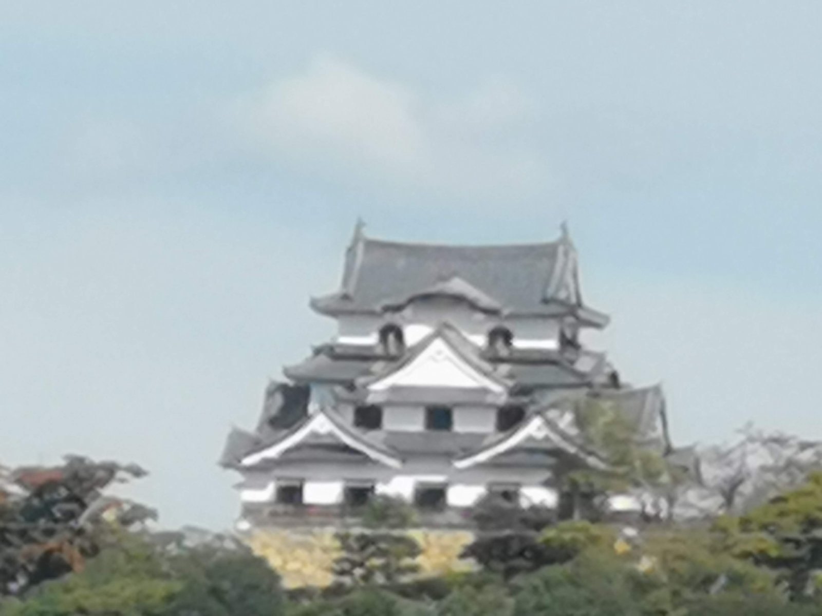 遠くに見えた天守