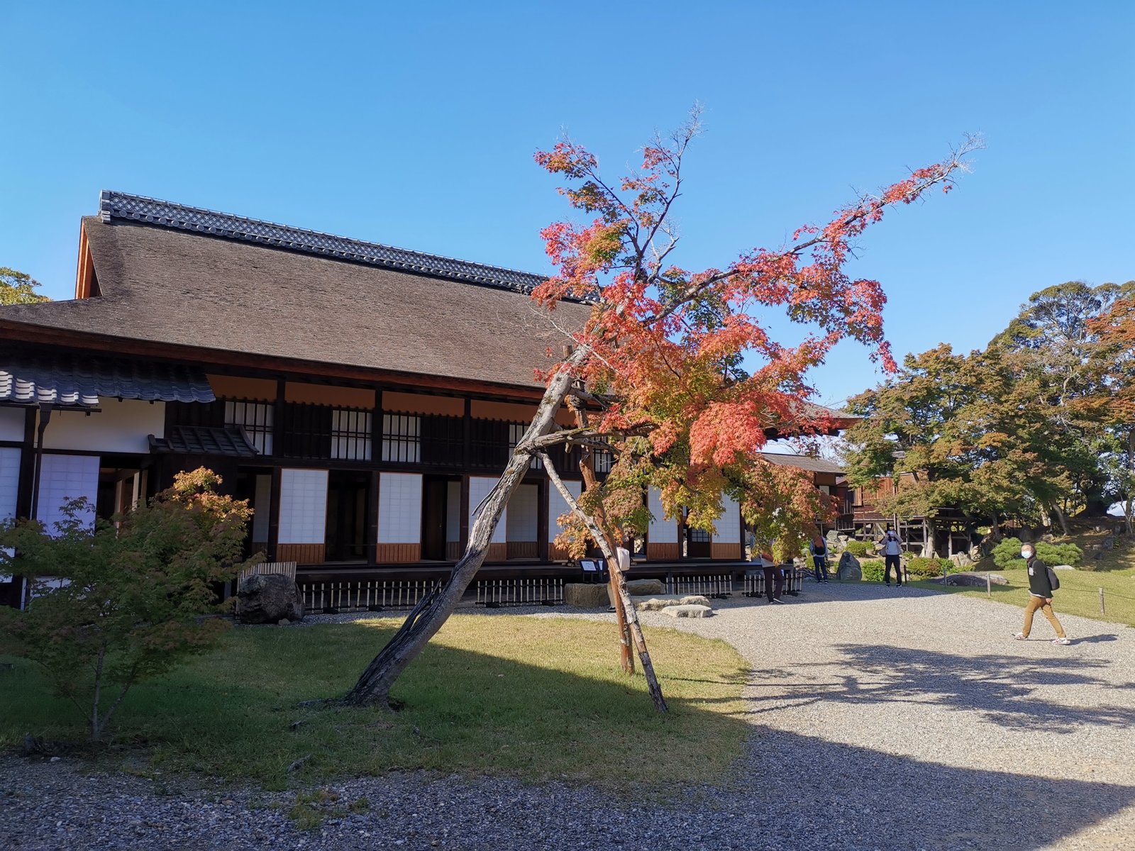 庭園の御殿
