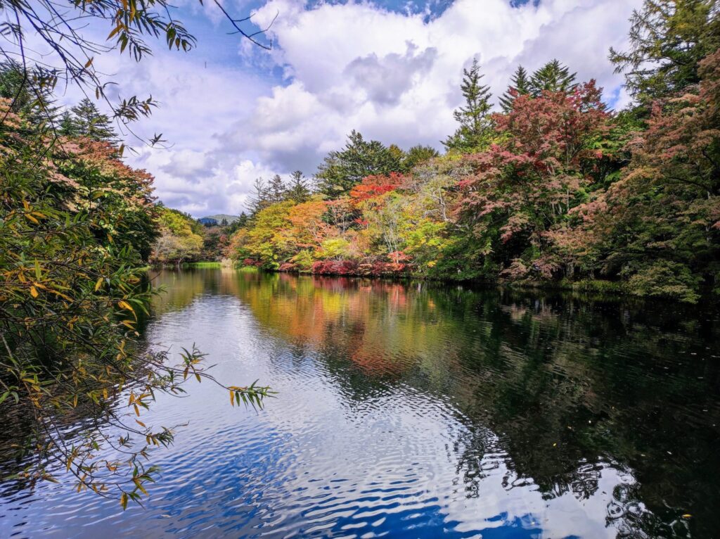 軽井沢　雲場池