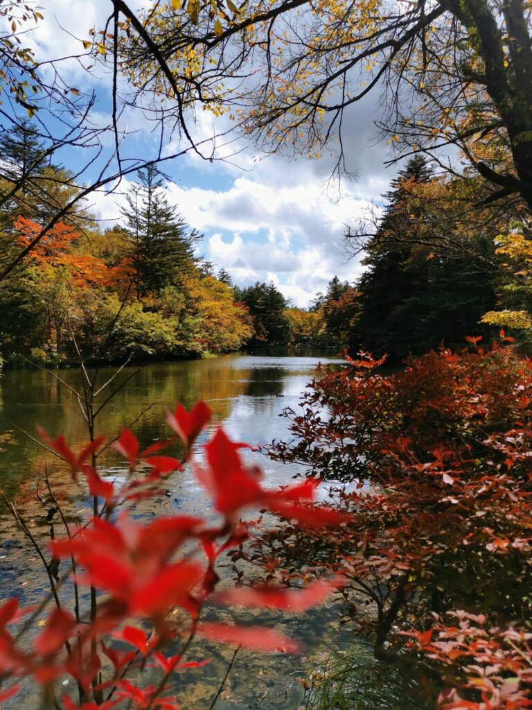 軽井沢　雲場池