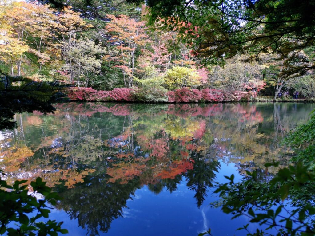 軽井沢　雲場池