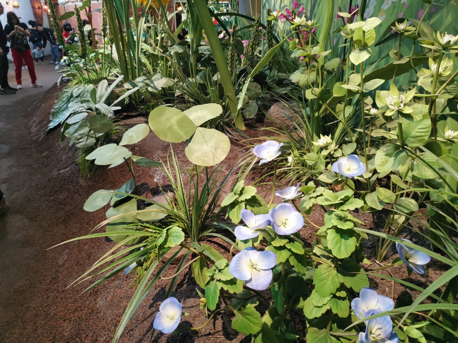 草花の展示