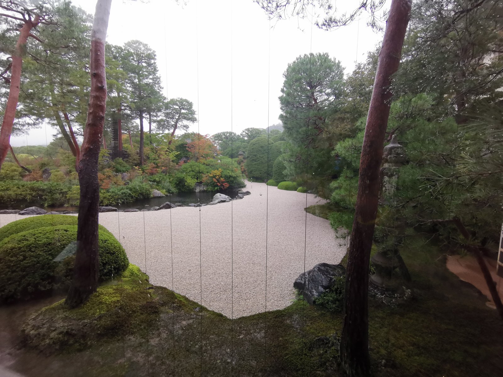 雨の日本庭園
