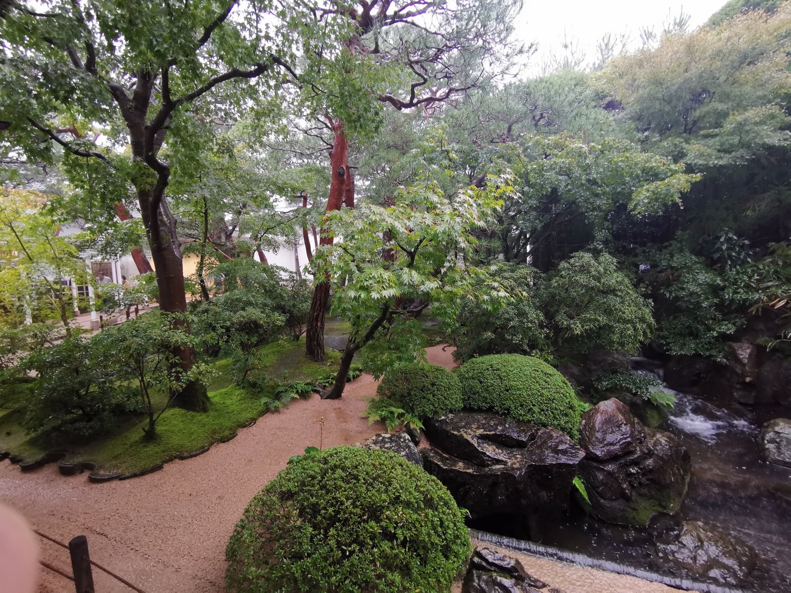 苔と白砂の庭