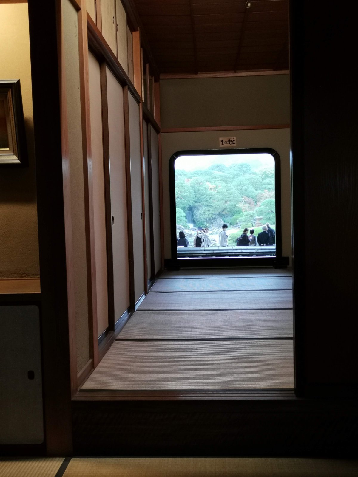 窓から見た庭