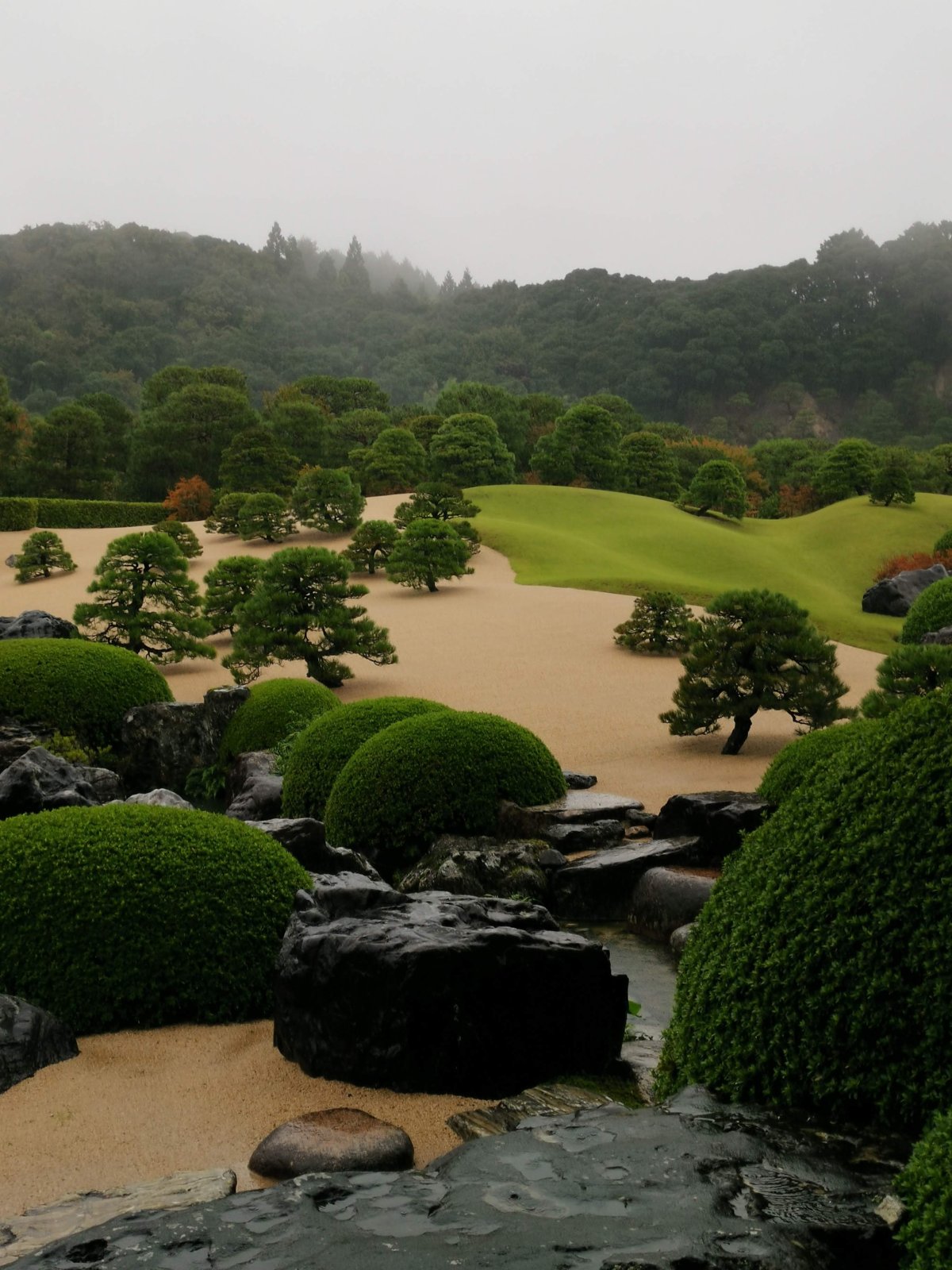 雨の庭