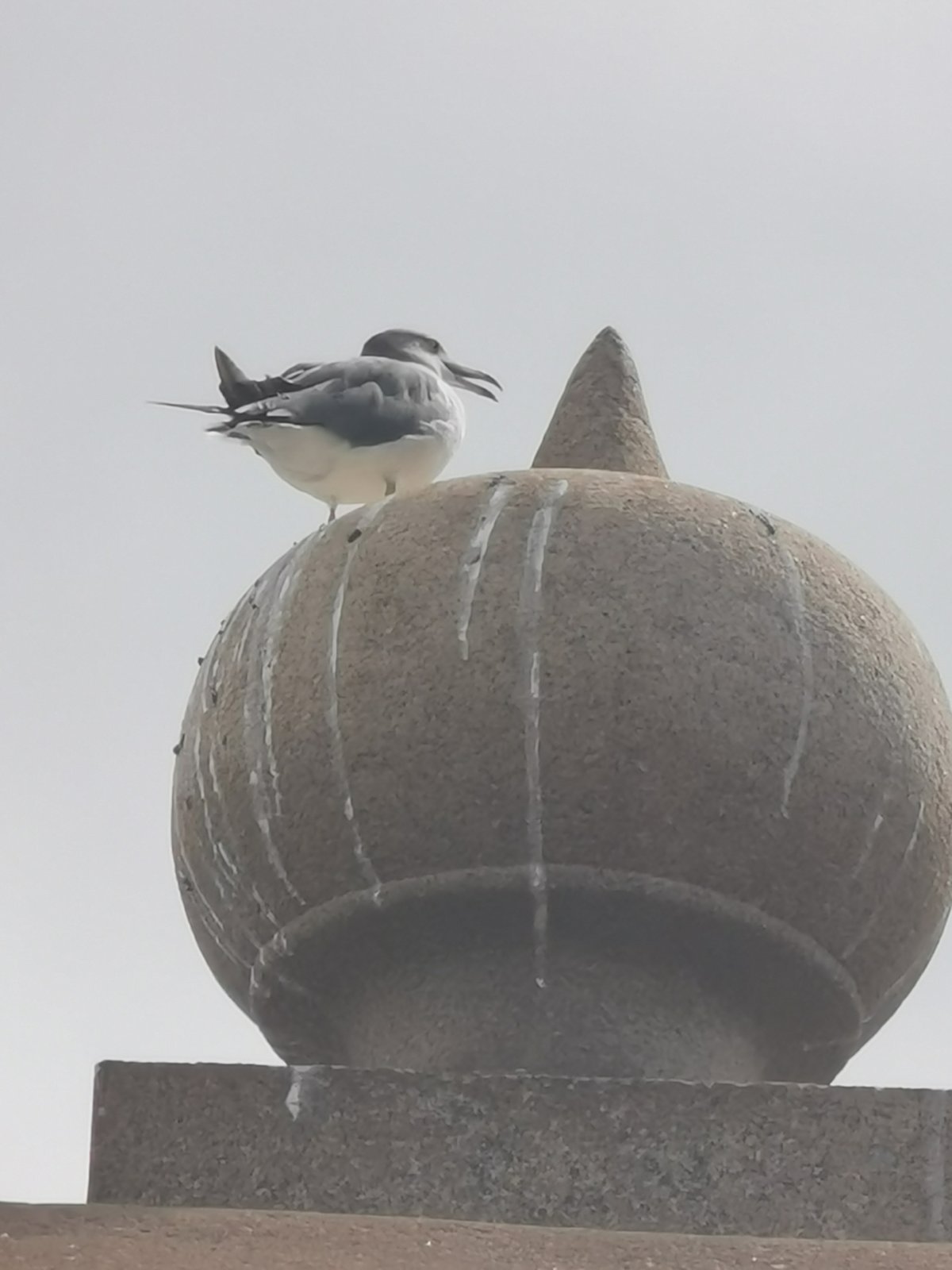 常夜燈のてっぺんの鳥