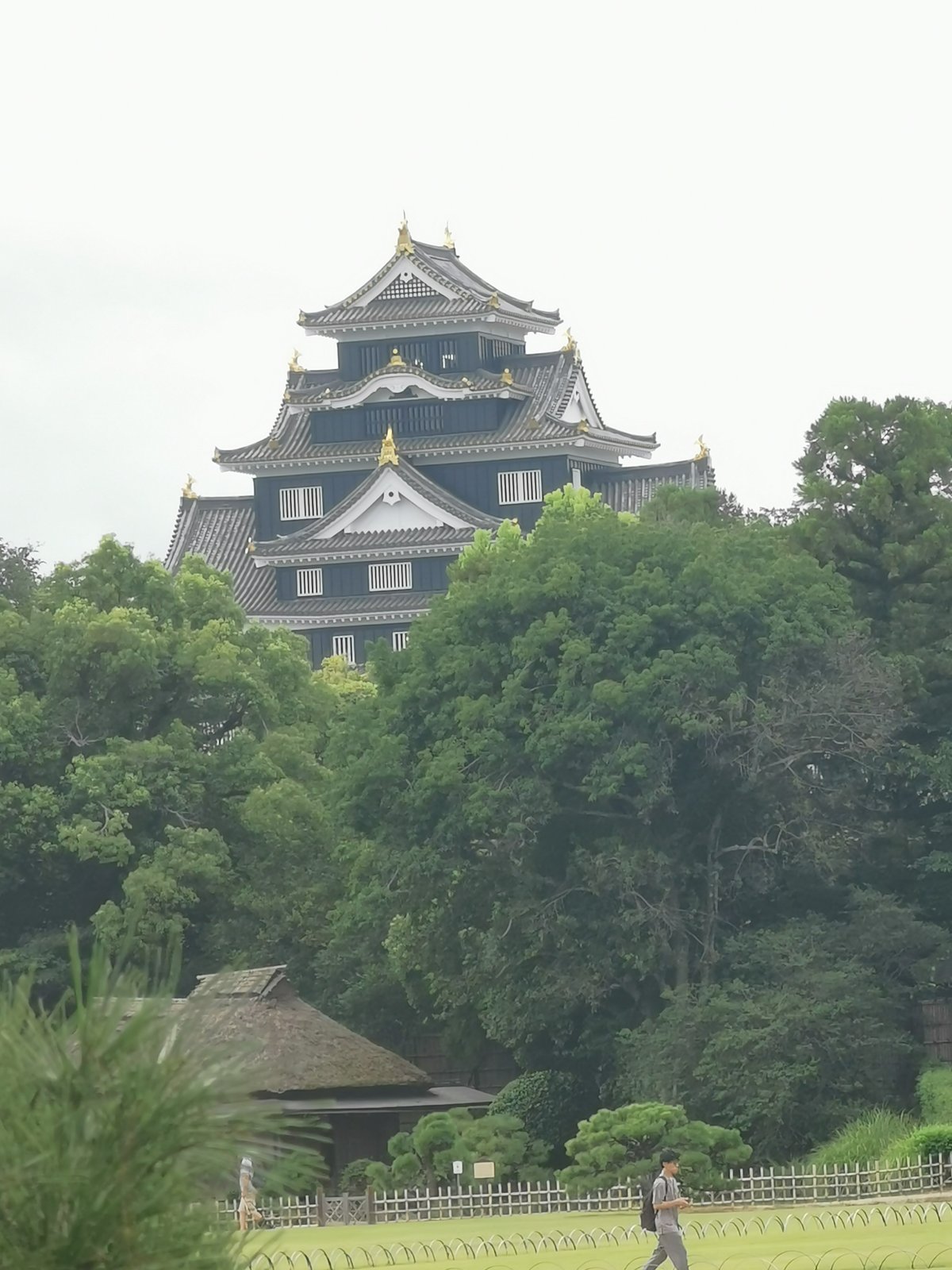 園内から見た岡山城