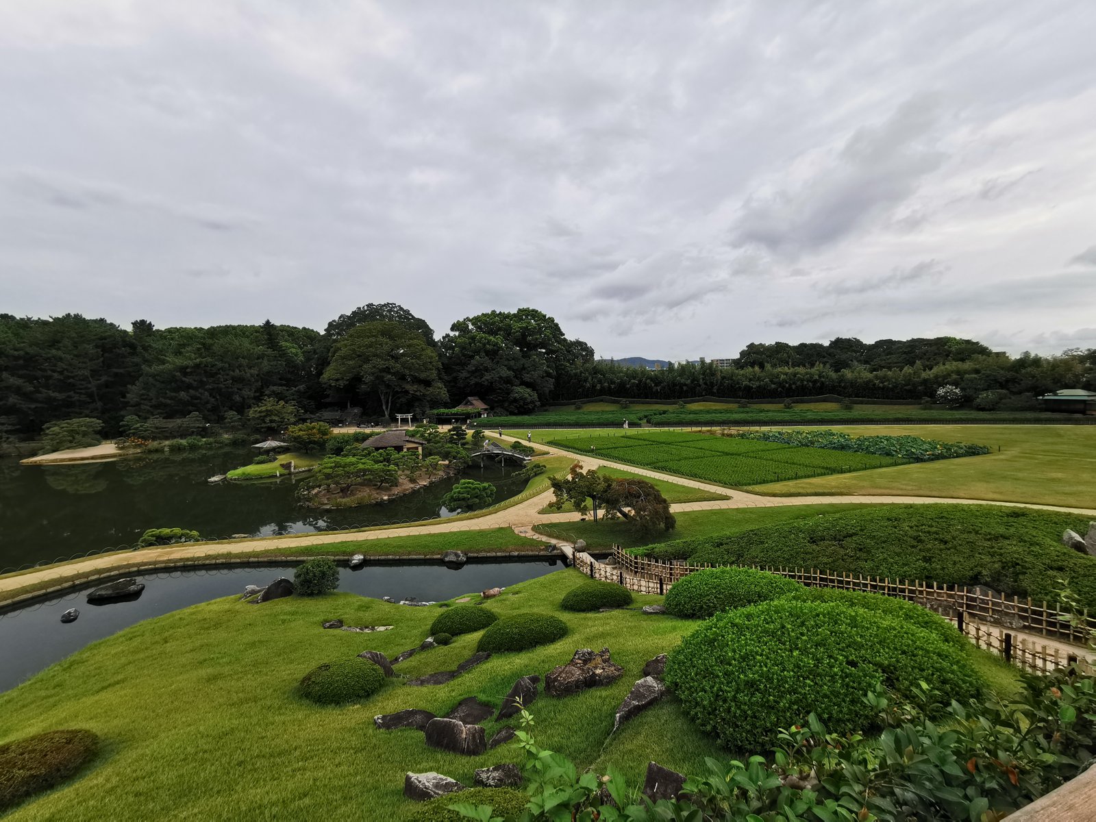 小高い所から見た園内