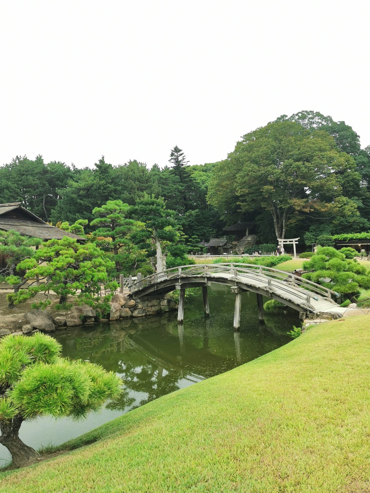 池にかかる橋