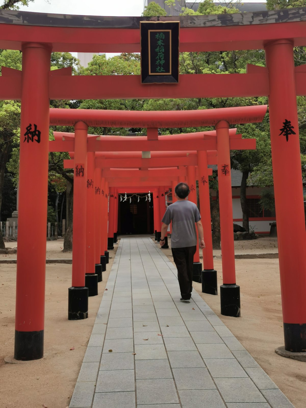 楠本稲荷神社の鳥居