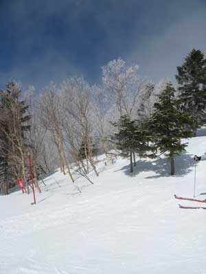 20080307shiga2.jpg